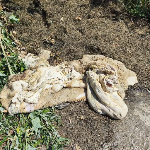 Fotogaléria