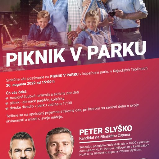 PIKNIK V PARKU